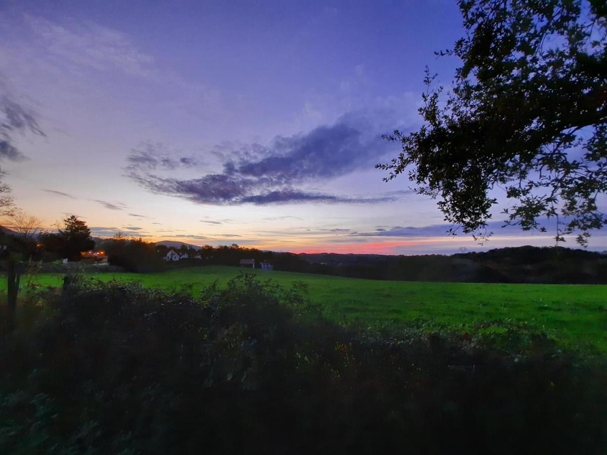 Parabisu Ttikia "Petit Paradis" Ascain Luaran gambar